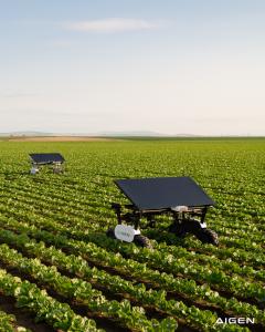 With Diesel Up 70%, Aigen’s Solar Robots Manage Crops With No Fuel or Herbicides